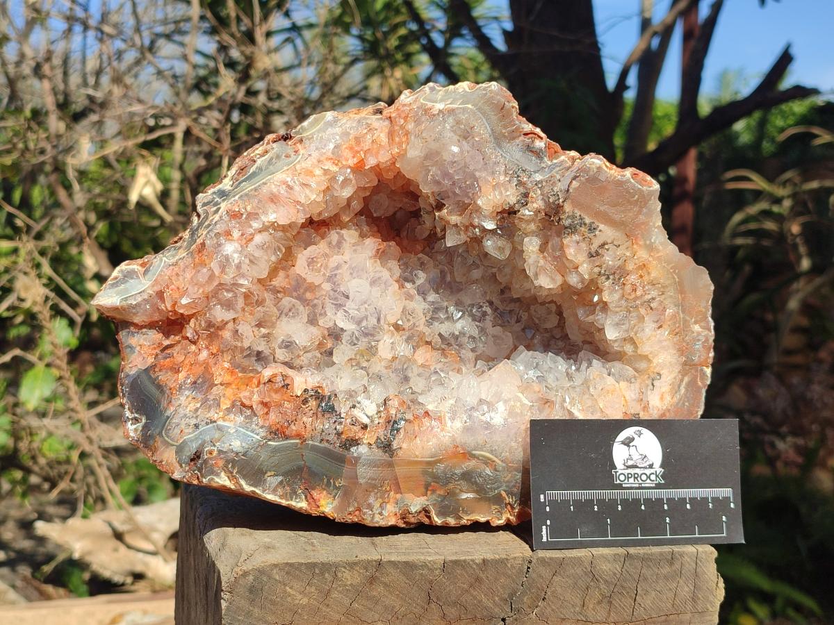 Natural Large Crystalline Agate Geode x 1 From Maintirano, Madagascar - Toprock Gemstones and Minerals 