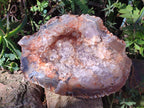 Natural Large Crystalline Agate Geode x 1 From Maintirano, Madagascar - Toprock Gemstones and Minerals 