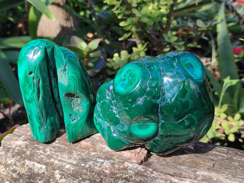 Polished Flower Banded Malachite Free Forms x 3 From Congo - Toprock Gemstones and Minerals 