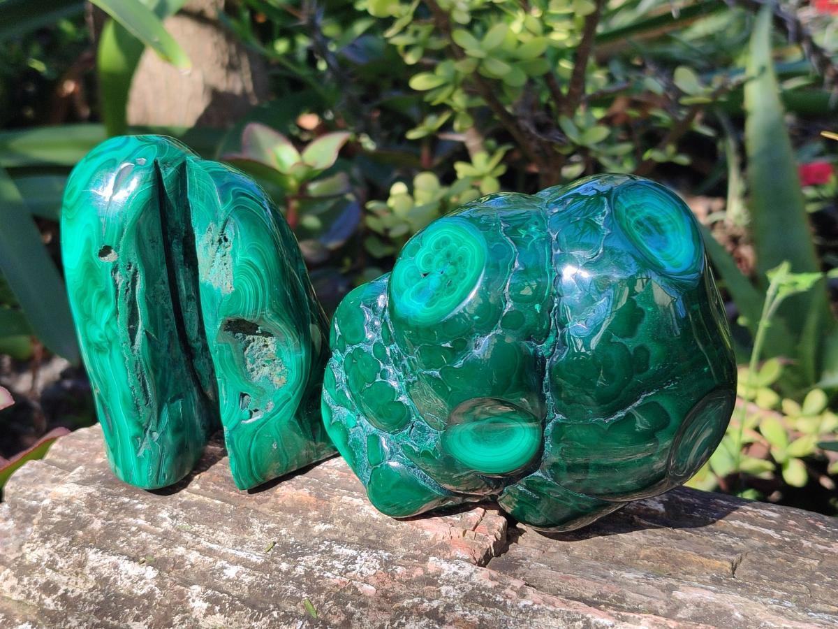 Polished Flower Banded Malachite Free Forms x 3 From Congo - Toprock Gemstones and Minerals 