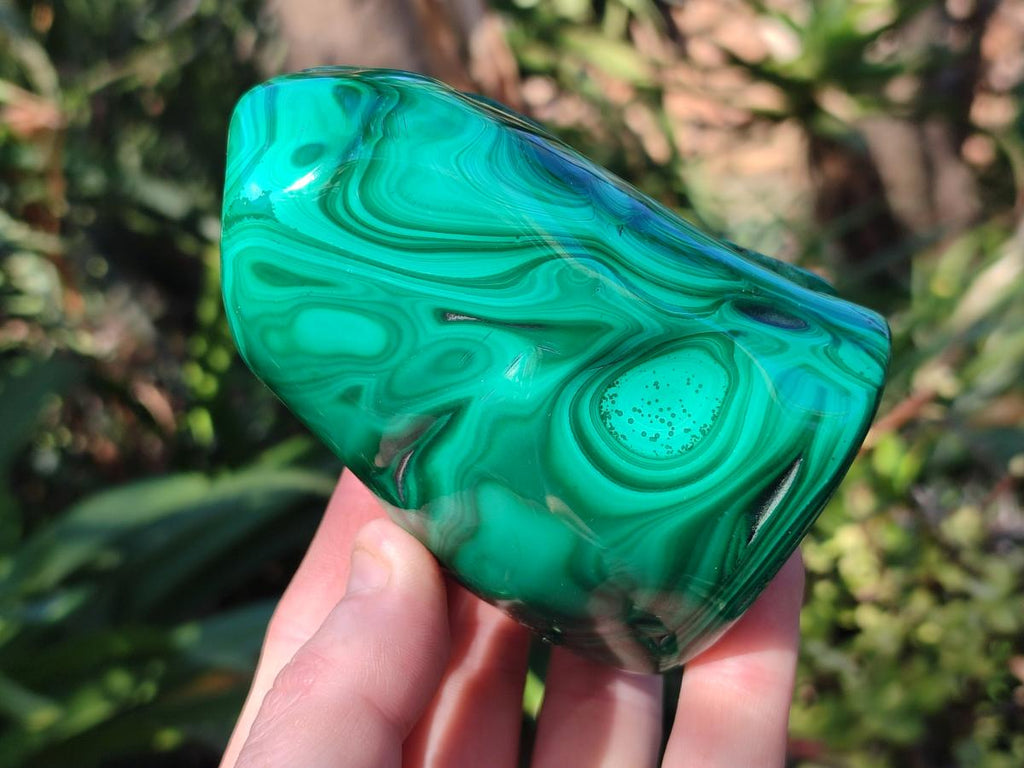 Polished Flower Banded Malachite Free Forms x 3 From Congo - Toprock Gemstones and Minerals 