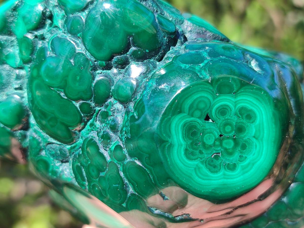 Polished Flower Banded Malachite Free Forms x 3 From Congo - Toprock Gemstones and Minerals 