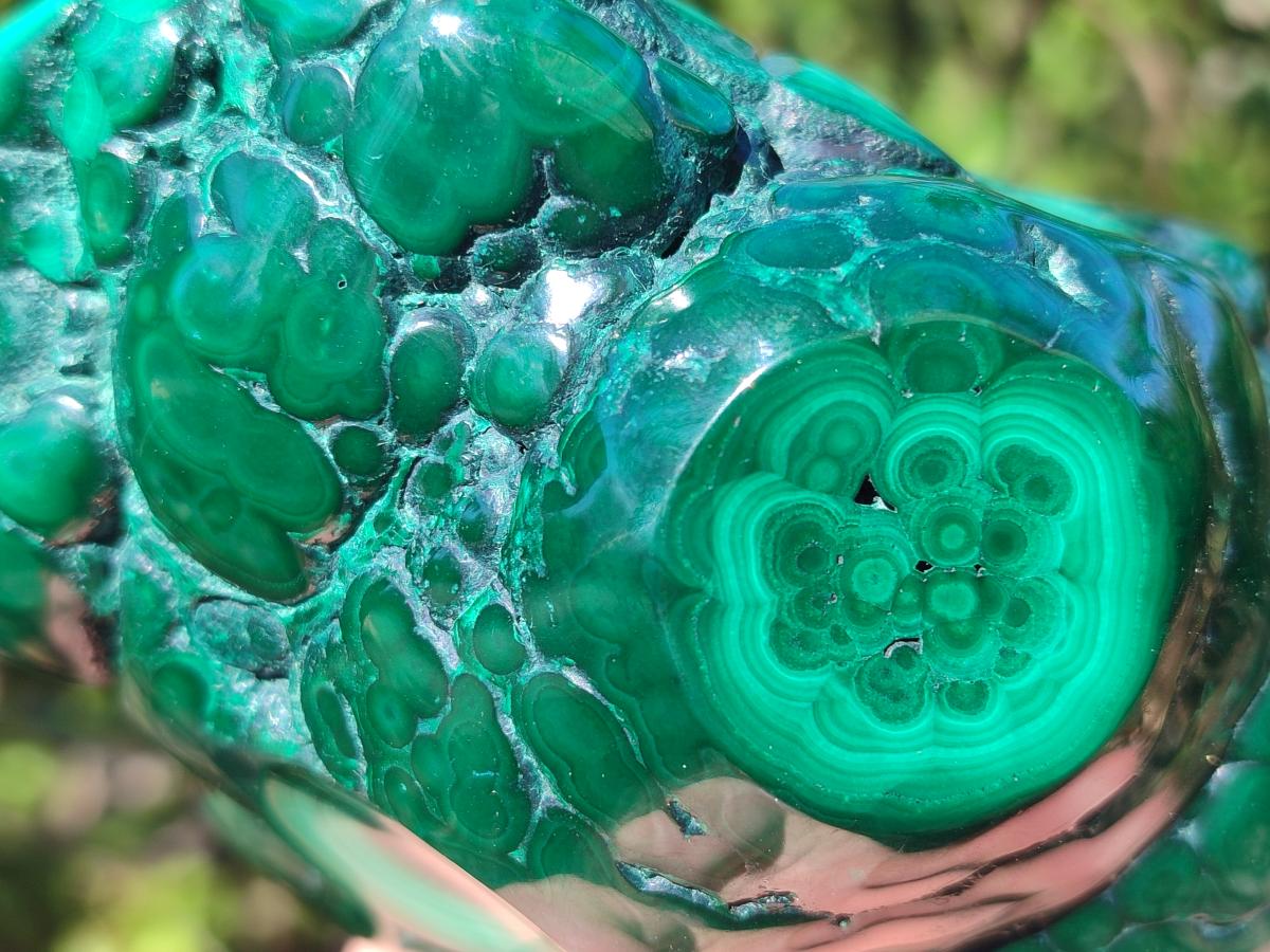 Polished Flower Banded Malachite Free Forms x 3 From Congo - Toprock Gemstones and Minerals 