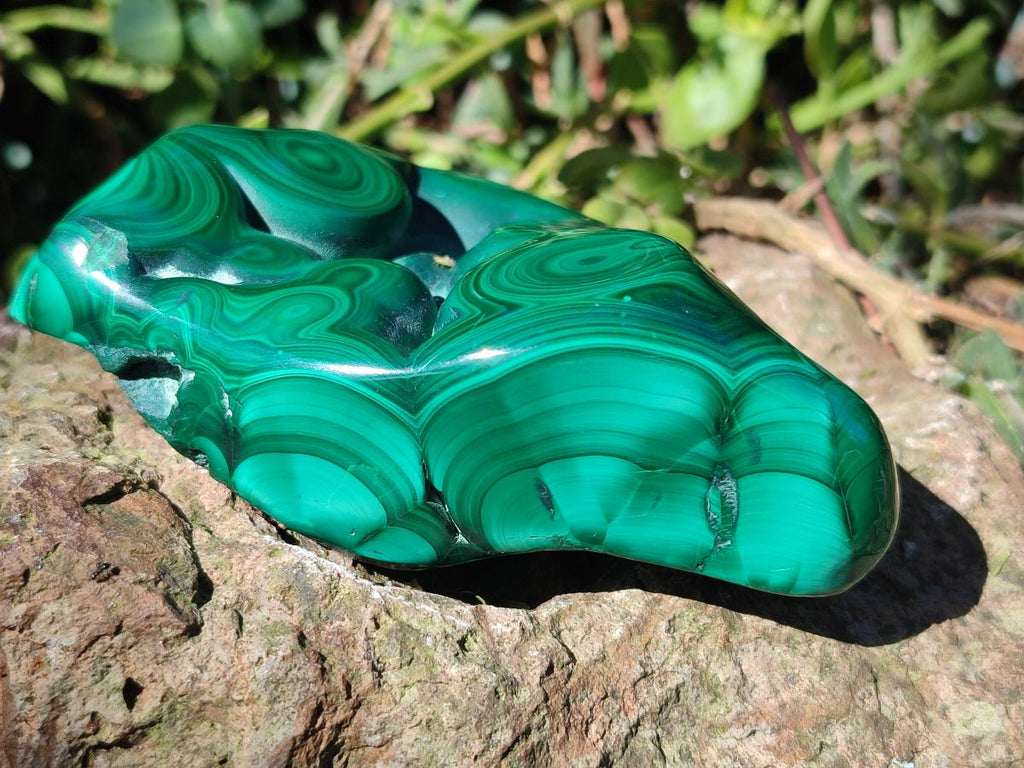 Polished Flower Banded Malachite Free Forms x 3 From Congo - Toprock Gemstones and Minerals 