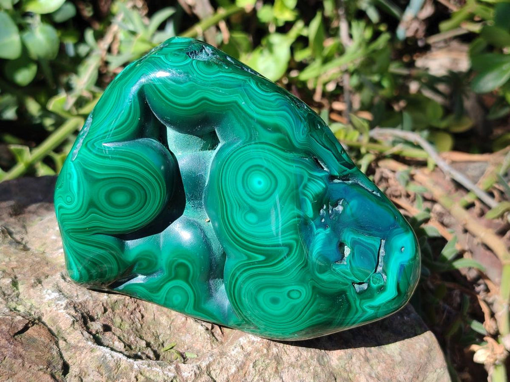 Polished Flower Banded Malachite Free Forms x 3 From Congo - Toprock Gemstones and Minerals 
