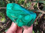 Polished Flower Banded Malachite Free Forms x 3 From Congo - Toprock Gemstones and Minerals 
