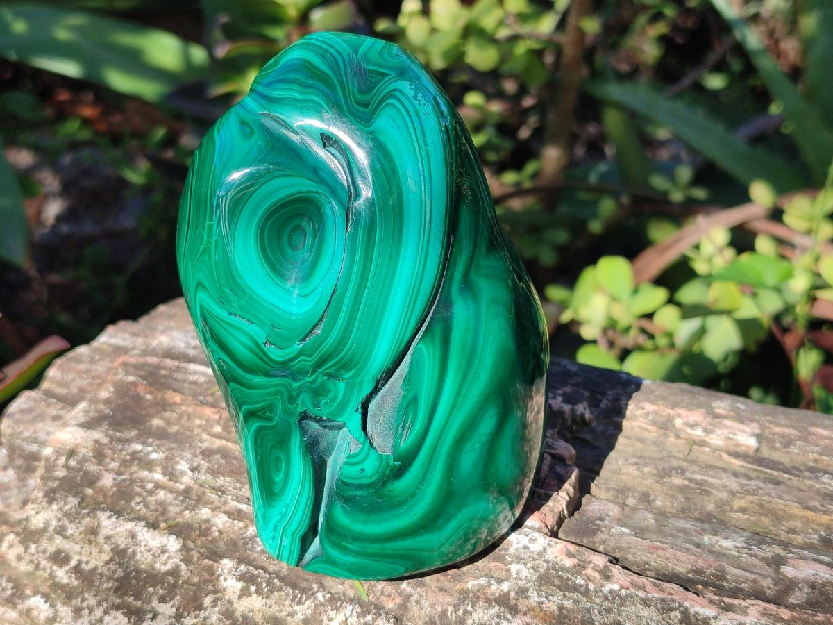Polished Flower Banded Malachite Free Forms x 3 From Congo - Toprock Gemstones and Minerals 