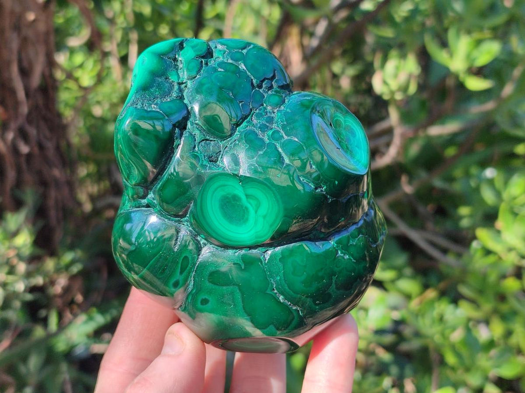 Polished Flower Banded Malachite Free Forms x 3 From Congo - Toprock Gemstones and Minerals 