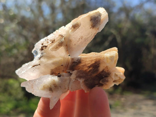 Natural Spearhead Calcite Cluster Specimens x 7 From Albert's Mountain, Lesotho - Toprock Gemstones and Minerals 