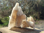 Natural Spearhead Calcite Cluster Specimens x 7 From Albert's Mountain, Lesotho - Toprock Gemstones and Minerals 