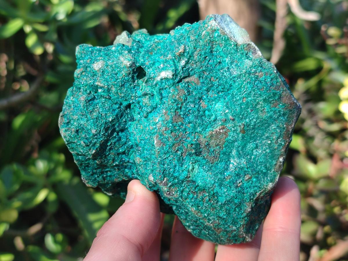 Natural Dioptase Specimens with Malachite and Chrysocolla on Dolomite Matrix x 2 From Mashamba East Mine, Congo - Toprock Gemstones and Minerals 