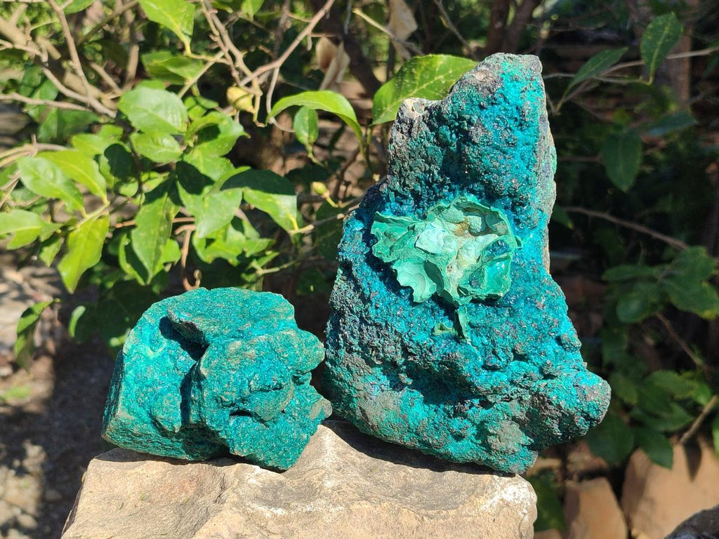 Natural Dioptase Specimens with Malachite and Chrysocolla on Dolomite Matrix x 2 From Mashamba East Mine, Congo - Toprock Gemstones and Minerals 