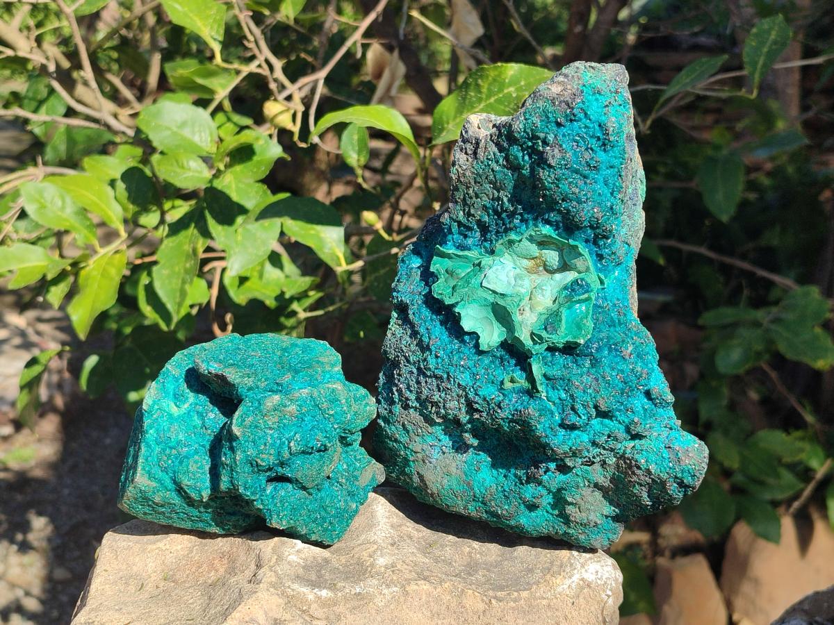 Natural Dioptase Specimens with Malachite and Chrysocolla on Dolomite Matrix x 2 From Mashamba East Mine, Congo - Toprock Gemstones and Minerals 