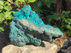 Natural Dioptase Specimens with Malachite and Chrysocolla on Dolomite Matrix x 2 From Mashamba East Mine, Congo - Toprock Gemstones and Minerals 