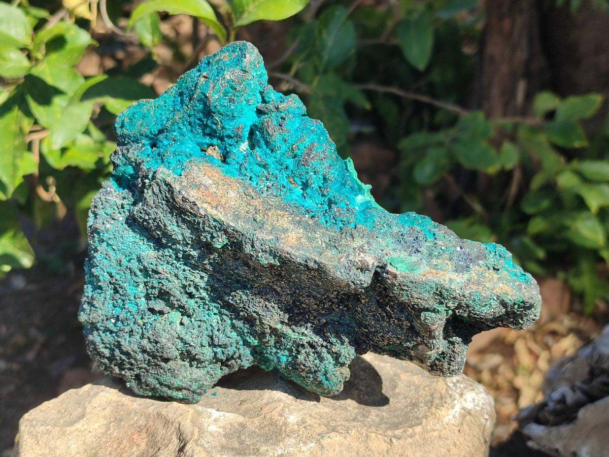 Natural Dioptase Specimens with Malachite and Chrysocolla on Dolomite Matrix x 2 From Mashamba East Mine, Congo - Toprock Gemstones and Minerals 
