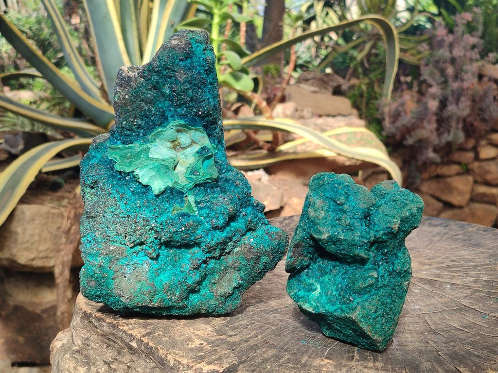 Natural Dioptase Specimens with Malachite and Chrysocolla on Dolomite Matrix x 2 From Mashamba East Mine, Congo - Toprock Gemstones and Minerals 