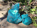 Natural Dioptase Specimens with Malachite and Chrysocolla on Dolomite Matrix x 2 From Mashamba East Mine, Congo - Toprock Gemstones and Minerals 