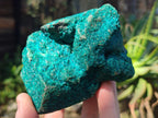 Natural Dioptase Specimens with Malachite and Chrysocolla on Dolomite Matrix x 2 From Mashamba East Mine, Congo - Toprock Gemstones and Minerals 