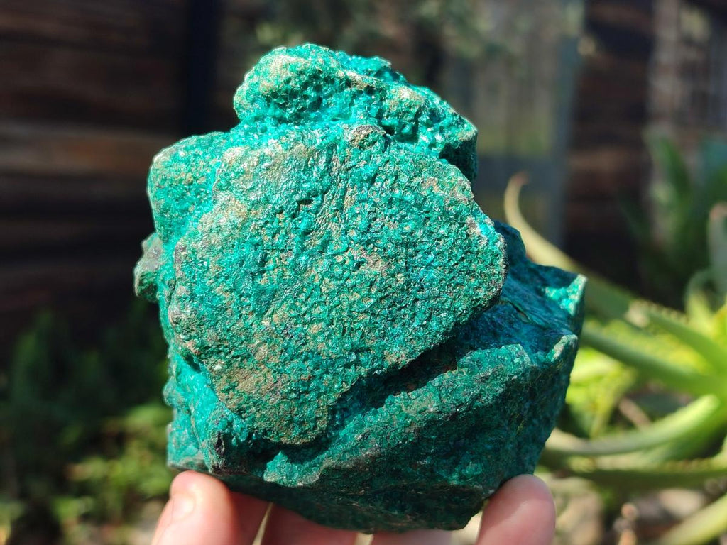 Natural Dioptase Specimens with Malachite and Chrysocolla on Dolomite Matrix x 2 From Mashamba East Mine, Congo - Toprock Gemstones and Minerals 