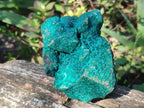 Natural Dioptase Specimens with Malachite and Chrysocolla on Dolomite Matrix x 2 From Mashamba East Mine, Congo - Toprock Gemstones and Minerals 