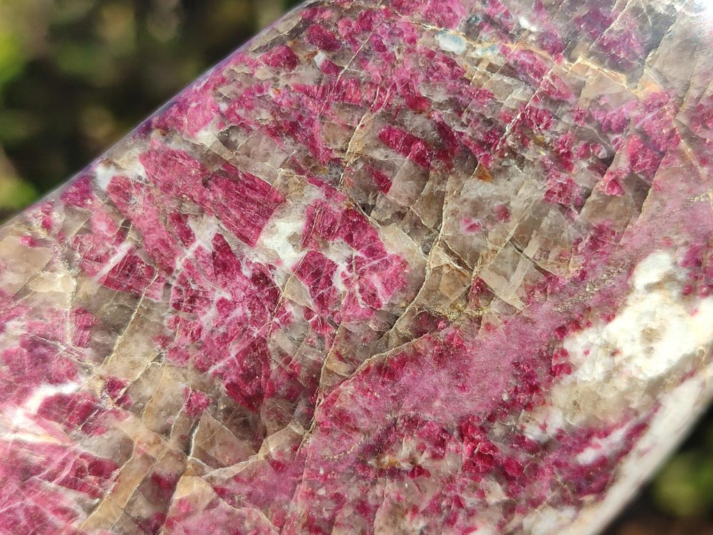 Polished Rubellite Pink Tourmaline Standing Display Pieces x 2 From Ambatondrazaka, Madagascar - Toprock Gemstones and Minerals 