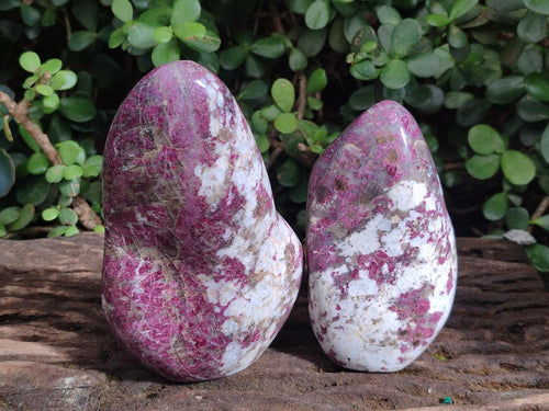 Polished Rubellite Pink Tourmaline Standing Display Pieces x 2 From Ambatondrazaka, Madagascar - Toprock Gemstones and Minerals 