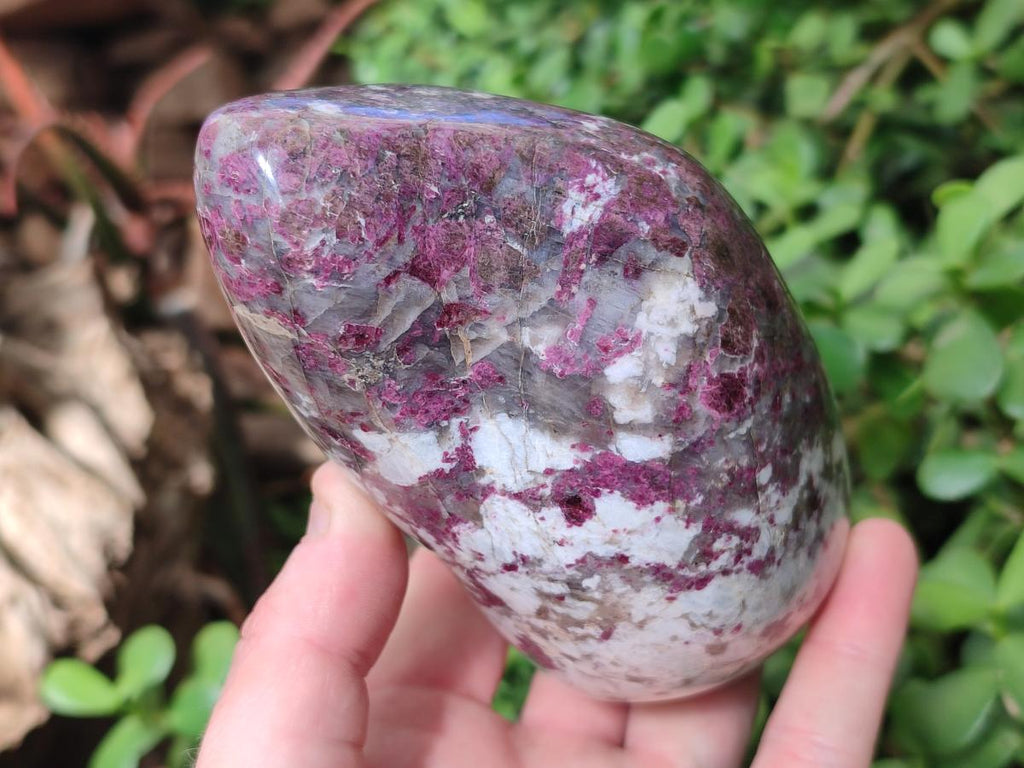 Polished Rubellite Pink Tourmaline Standing Display Pieces x 2 From Ambatondrazaka, Madagascar - Toprock Gemstones and Minerals 
