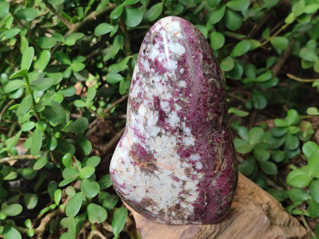 Polished Rubellite Pink Tourmaline Standing Display Pieces x 2 From Ambatondrazaka, Madagascar - Toprock Gemstones and Minerals 