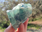 Natural Watermelon Fluorite Cobbed Specimens x 6 From Uis, Namibia - Toprock Gemstones and Minerals 