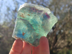Natural Watermelon Fluorite Cobbed Specimens x 6 From Uis, Namibia - Toprock Gemstones and Minerals 