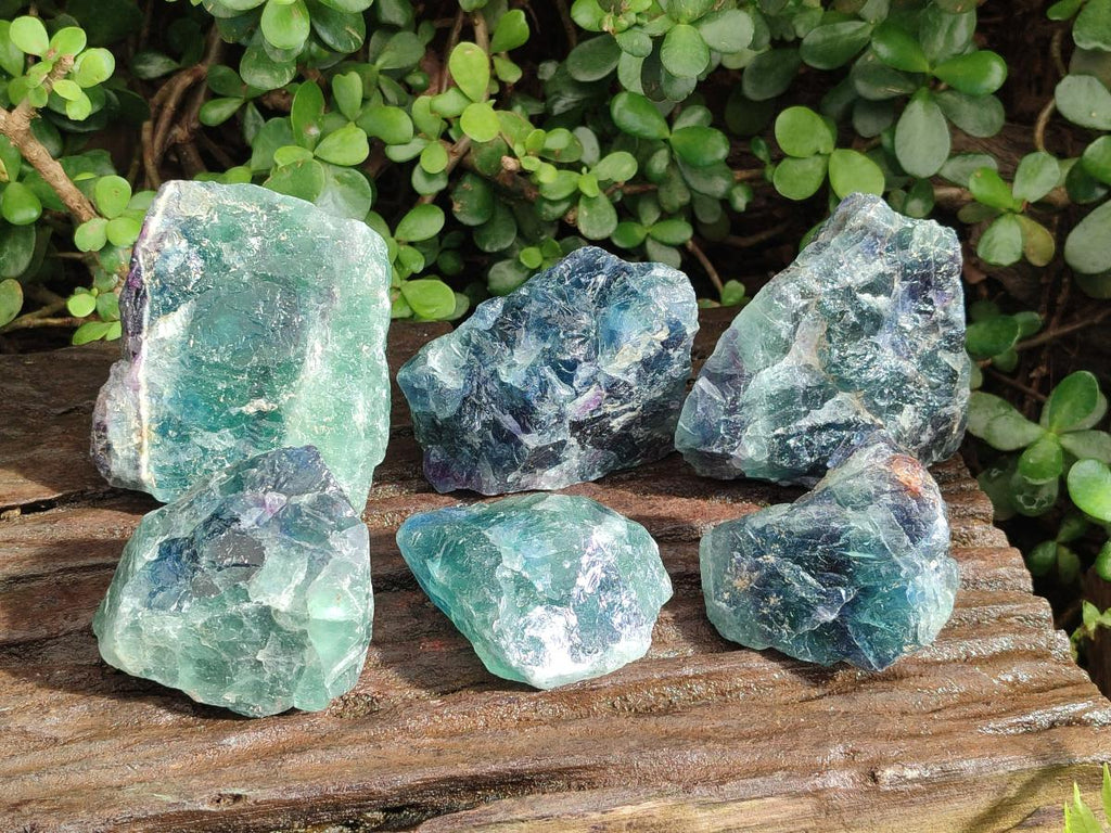 Natural Watermelon Fluorite Cobbed Specimens x 6 From Uis, Namibia - Toprock Gemstones and Minerals 