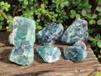 Natural Watermelon Fluorite Cobbed Specimens x 6 From Uis, Namibia - Toprock Gemstones and Minerals 
