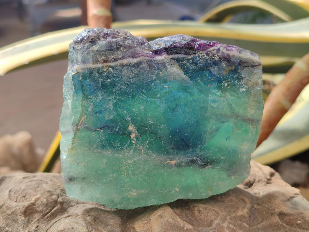 Natural Watermelon Fluorite Cobbed Specimens x 6 From Uis, Namibia - Toprock Gemstones and Minerals 