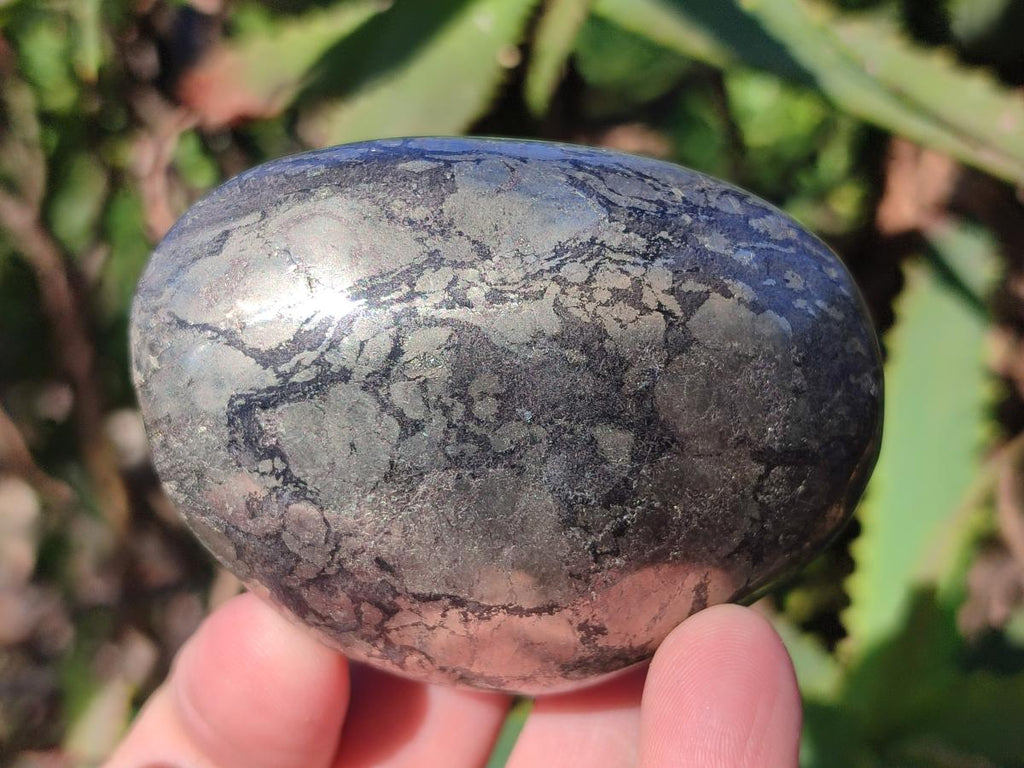 Polished Basalt Pharaoh Stone Free Forms x 6 From Iron Duke Mine, Zimbabwe - Toprock Gemstones and Minerals 