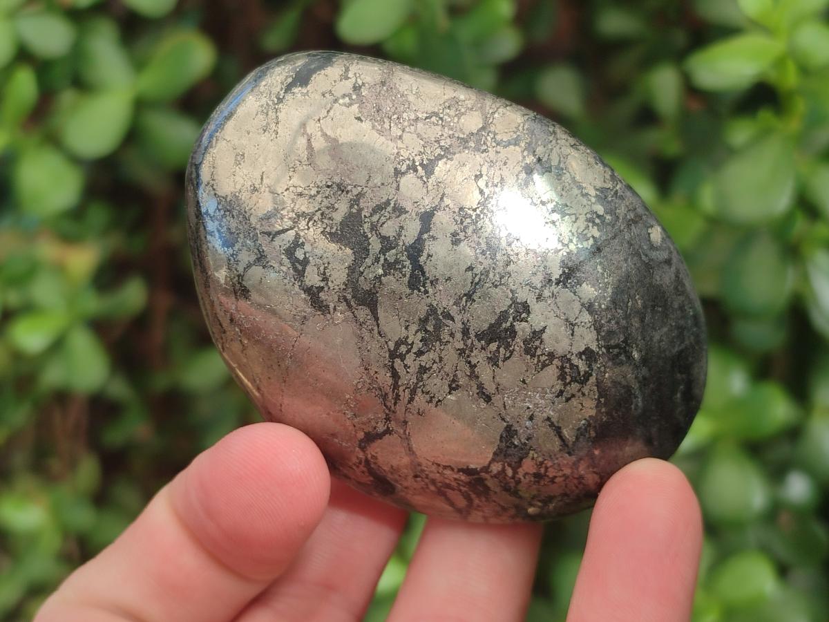 Polished Basalt Pharaoh Stone Free Forms x 6 From Iron Duke Mine, Zimbabwe - Toprock Gemstones and Minerals 