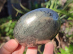 Polished Basalt Pharaoh Stone Free Forms x 6 From Iron Duke Mine, Zimbabwe - Toprock Gemstones and Minerals 
