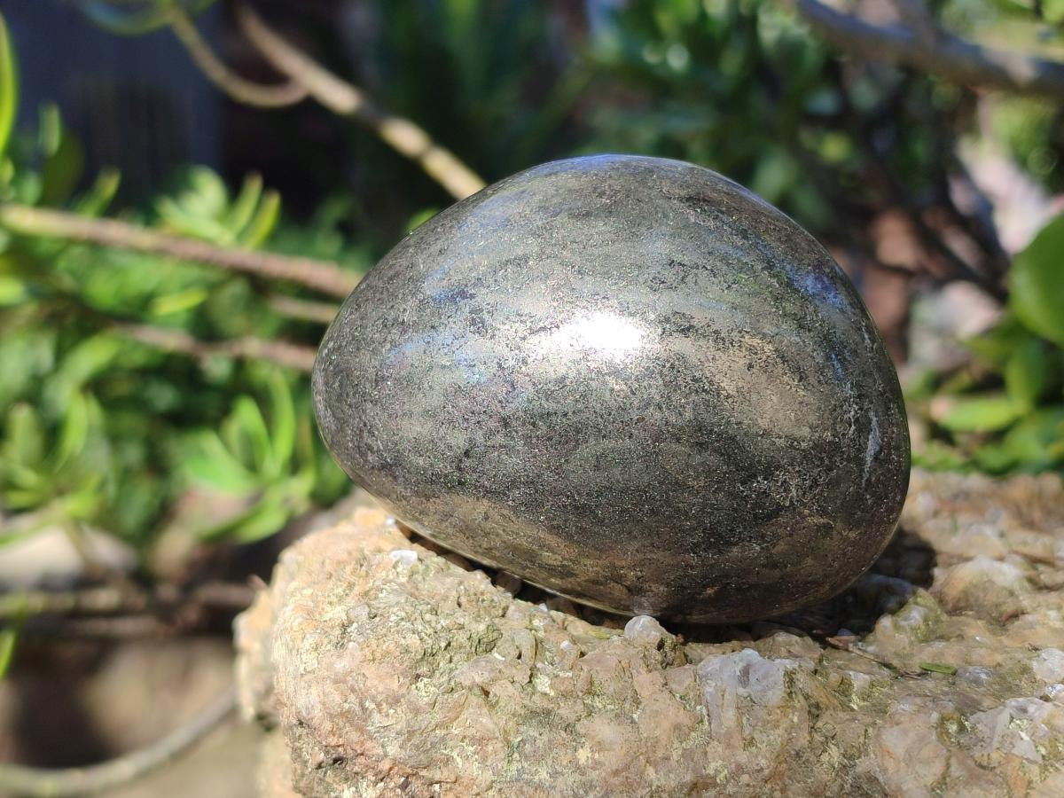 Polished Basalt Pharaoh Stone Free Forms x 6 From Iron Duke Mine, Zimbabwe - Toprock Gemstones and Minerals 