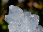 Natural Blue Celestite Specimens x 24 From Sakoany, Madagascar - Toprock Gemstones and Minerals 