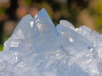 Natural Blue Celestite Specimens x 24 From Sakoany, Madagascar - Toprock Gemstones and Minerals 