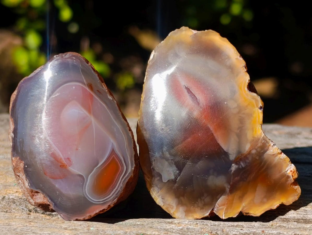 Polished One Side Red Shashe River Agate Nodules x 24 From Shashe River, Zimbabwe - Toprock Gemstones and Minerals 