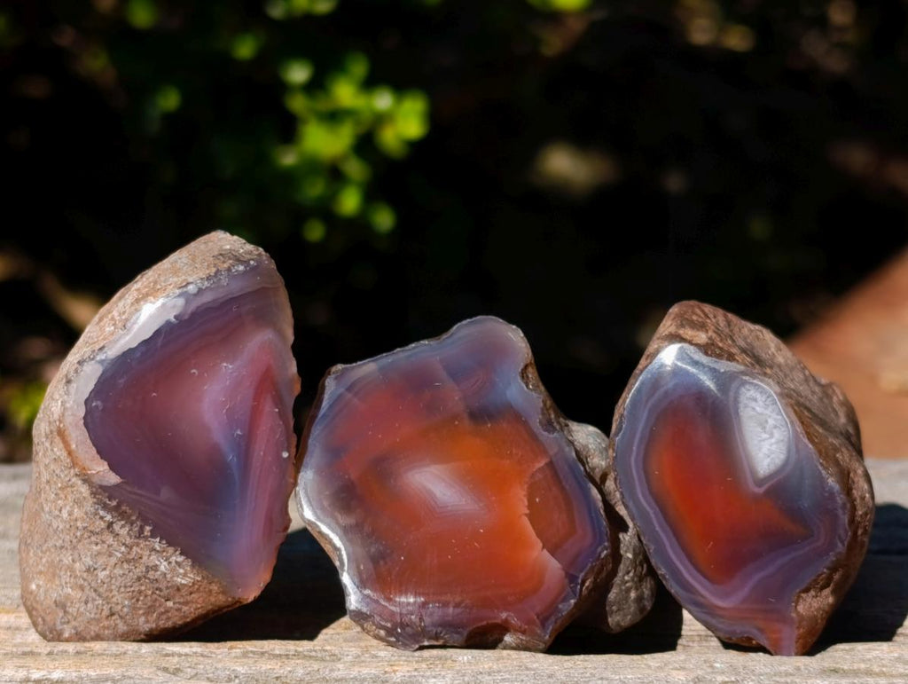 Polished One Side Red Shashe River Agate Nodules x 24 From Shashe River, Zimbabwe - Toprock Gemstones and Minerals 