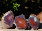 Polished One Side Red Shashe River Agate Nodules x 24 From Shashe River, Zimbabwe - Toprock Gemstones and Minerals 