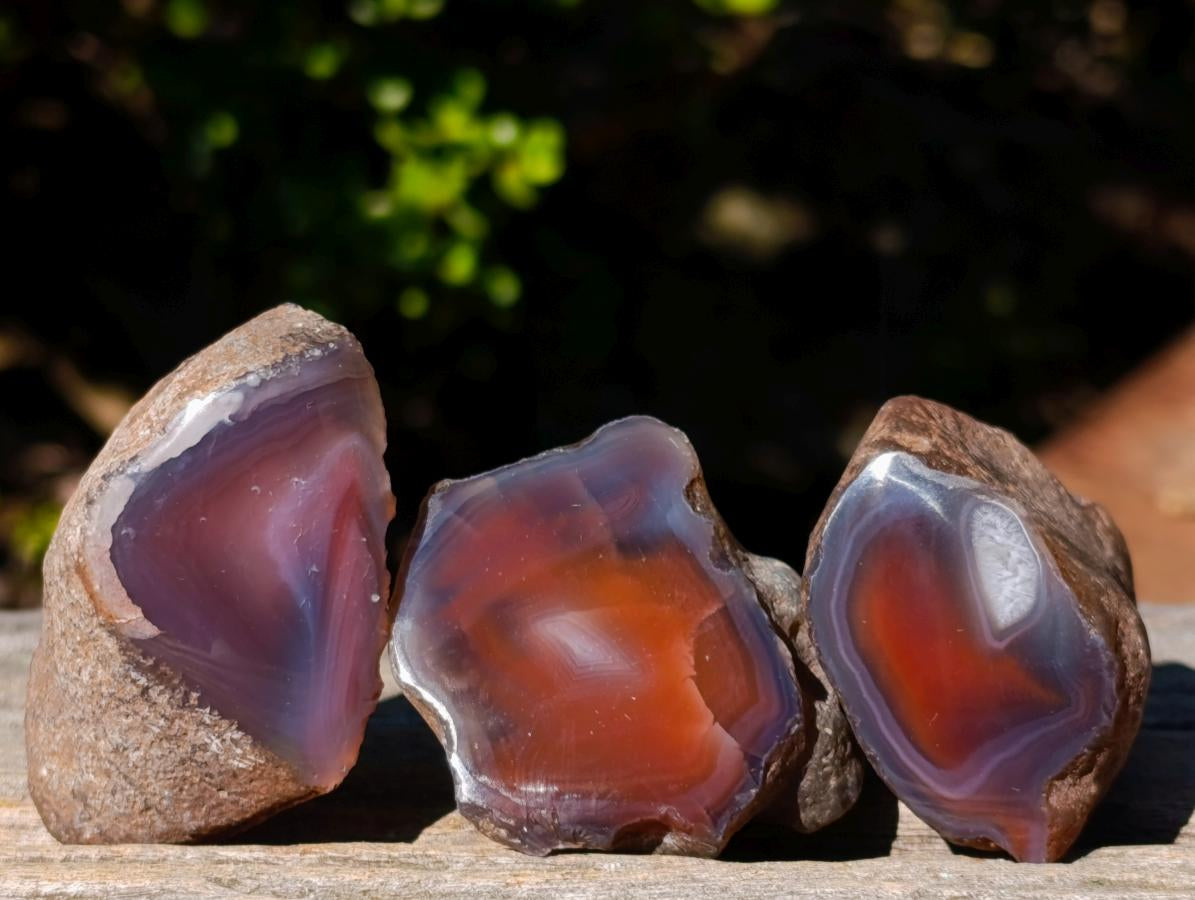 Polished One Side Red Shashe River Agate Nodules x 24 From Shashe River, Zimbabwe - Toprock Gemstones and Minerals 