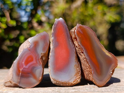 Polished One Side Red Shashe River Agate Nodules x 24 From Shashe River, Zimbabwe - Toprock Gemstones and Minerals 