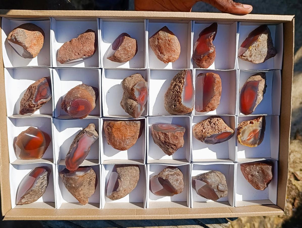 Polished One Side Red Shashe River Agate Nodules x 24 From Shashe River, Zimbabwe - Toprock Gemstones and Minerals 