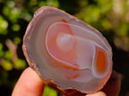 Polished One Side Red Shashe River Agate Nodules x 24 From Shashe River, Zimbabwe - Toprock Gemstones and Minerals 