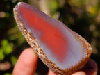 Polished One Side Red Shashe River Agate Nodules x 24 From Shashe River, Zimbabwe - Toprock Gemstones and Minerals 