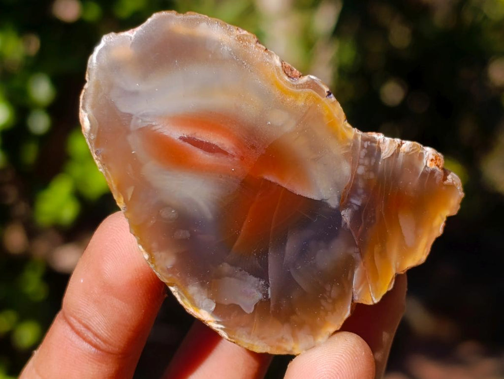 Polished One Side Red Shashe River Agate Nodules x 24 From Shashe River, Zimbabwe - Toprock Gemstones and Minerals 