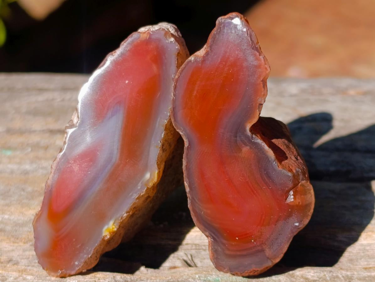 Polished One Side Red Shashe River Agate Nodules x 24 From Shashe River, Zimbabwe - Toprock Gemstones and Minerals 