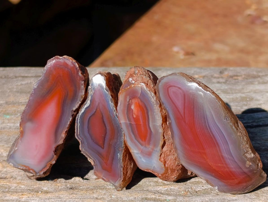 Polished One Side Red Shashe River Agate Nodules x 24 From Shashe River, Zimbabwe - Toprock Gemstones and Minerals 